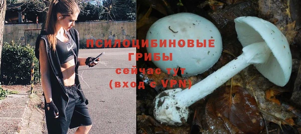 спайс Мегион