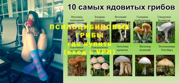 герыч Михайловск