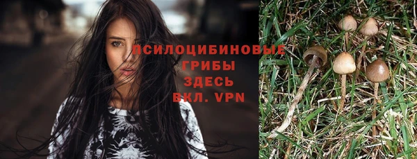 дурь Магас