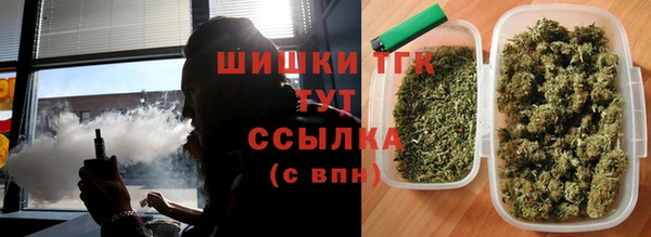 дурь Магас